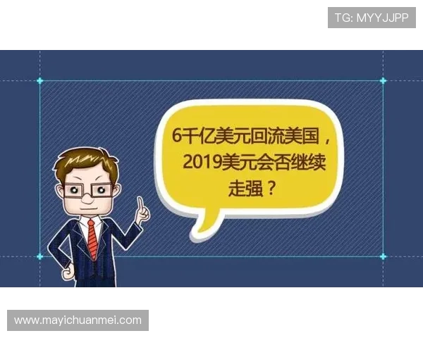 壹号钱包靠谱不：投资者应关注的安全风险与防范策略